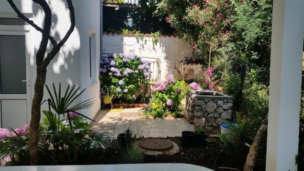 Villa Angelina Kumbor Esterno foto
