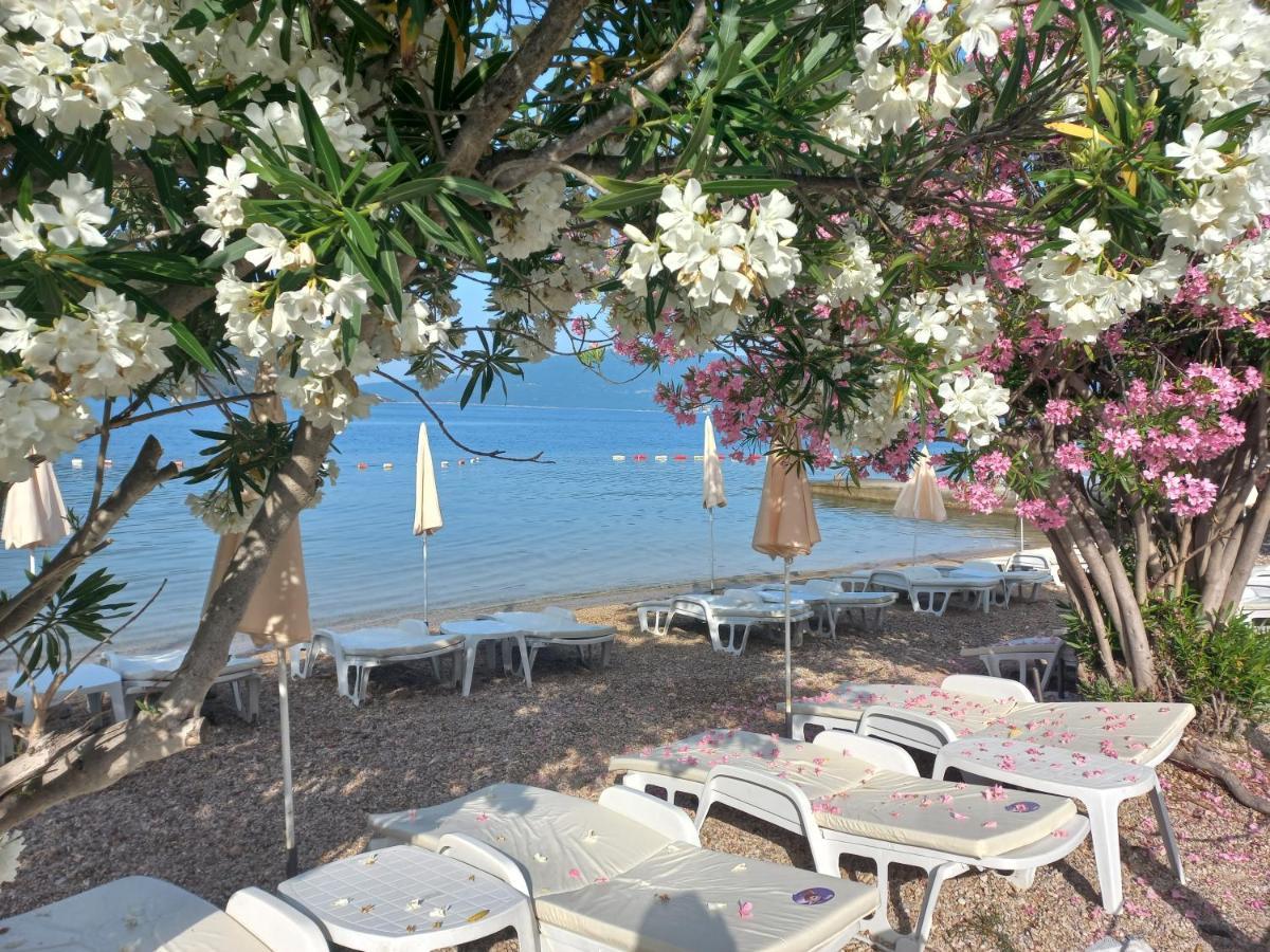Villa Angelina Kumbor Esterno foto